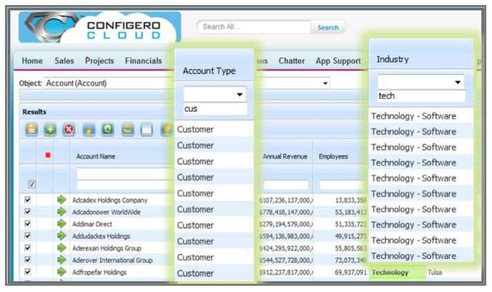 Salesforce Grid Dynamic Column Filtering