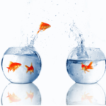 Salesforce.com Data Quality Migration Best Practices