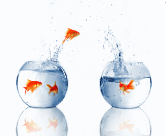 Salesforce.com Data Quality Migration Best Practices
