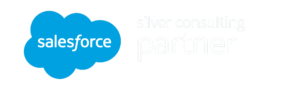Salesforce-silver-consulting-partner-n